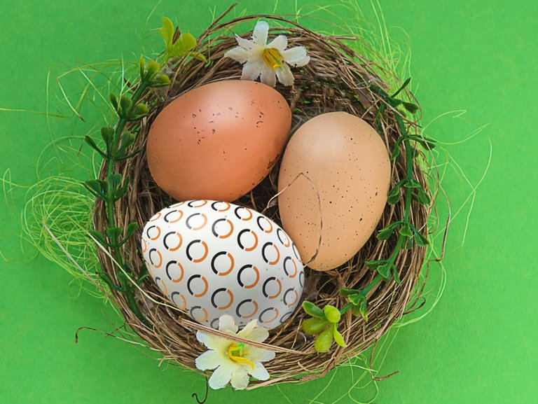 Osternest mit Eiern, eines trägt das bonnorange-Logo