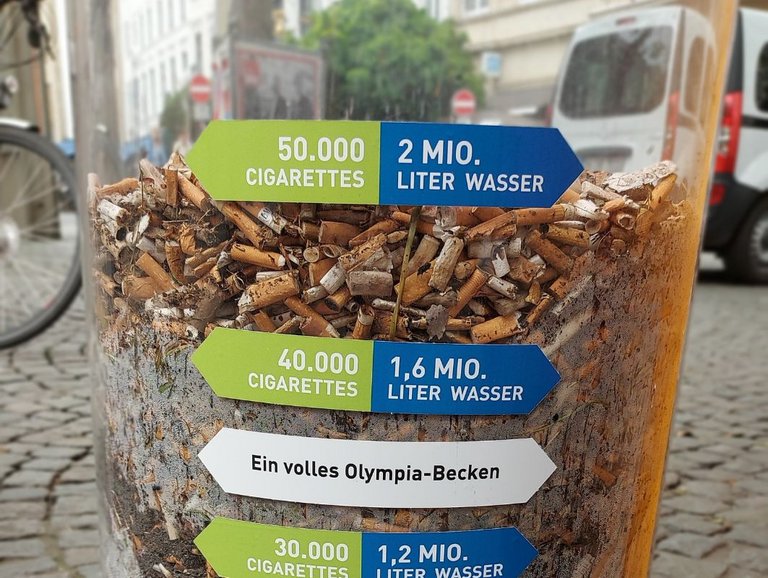 Endergebnis Kippen-Woche: die Säule ist mit ca. 50.000 gesammelten Kippen gefüllt.