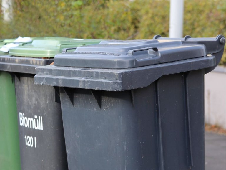 Schwarze Restabfalltonnen und grüne Biotonnen in Bonn