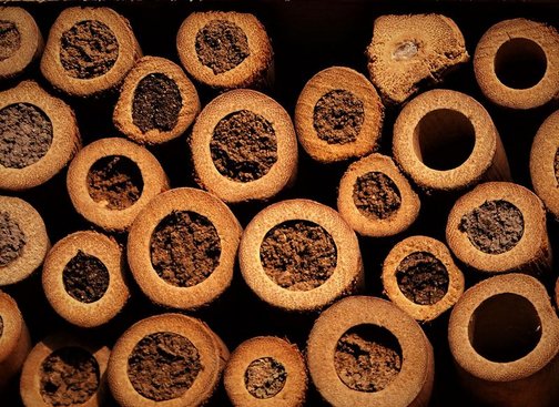 Insektenhotel Insektenhotel