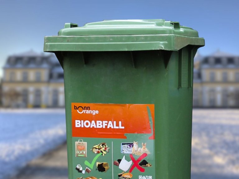 Grüne Biotonne vor dem Bonner Universitätsgebäude