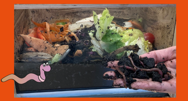 Foto_Wurmkomposter_front_Hand