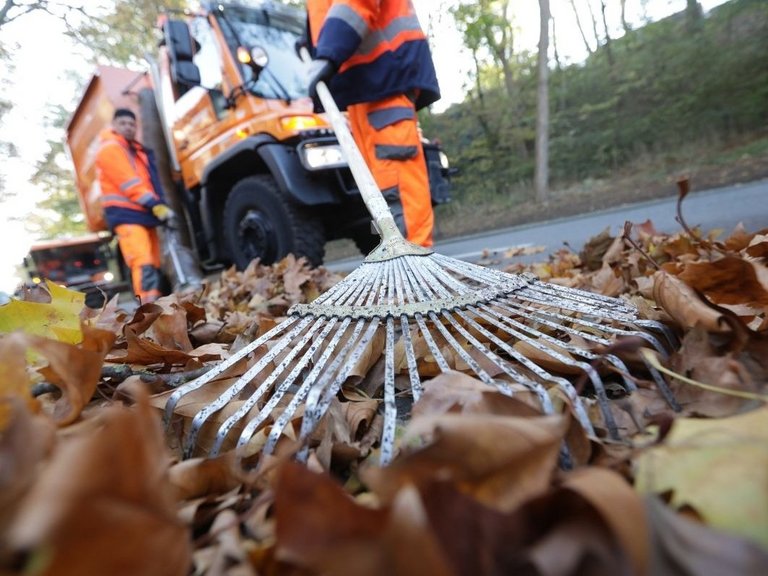 Laubzeit in Bonn: Mitarbeiter mit Rechen im Einsatz
