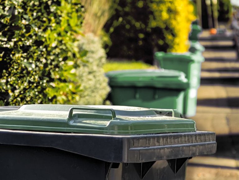 Biotonnen entlang einer Straße aufgereiht.