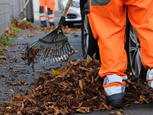 Mitarbeitende der bonnorange beim Reinigen von Laub